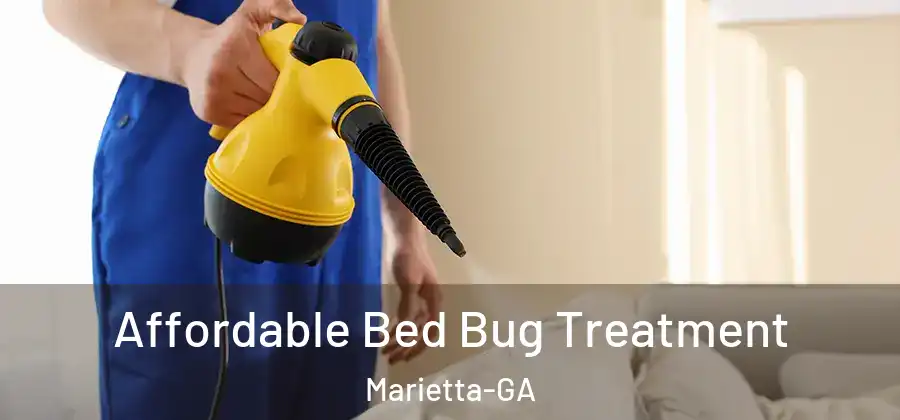  Affordable Bed Bug Treatment Marietta-GA