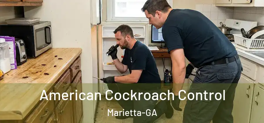  American Cockroach Control Marietta-GA
