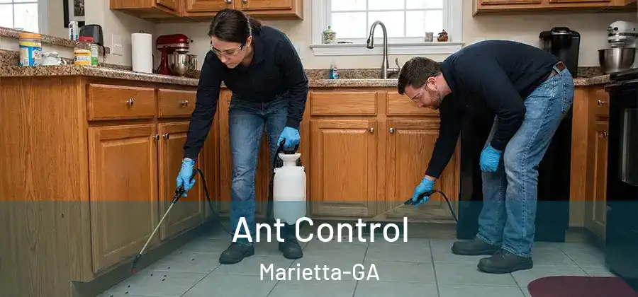 Ant Control Marietta-GA