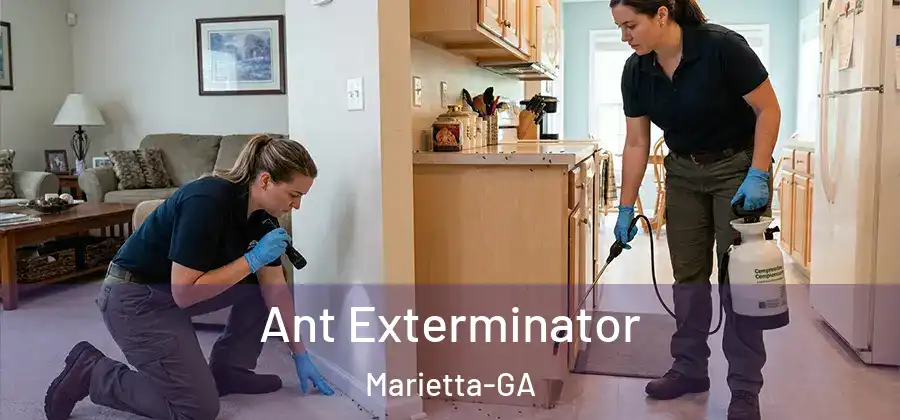 Ant Exterminator Marietta-GA