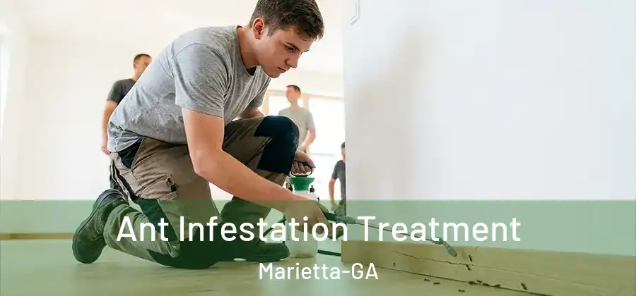 Ant Infestation Treatment Marietta-GA