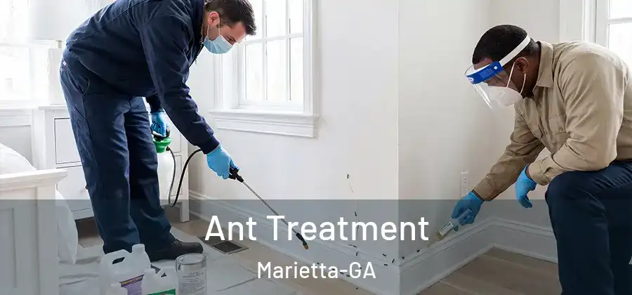  Ant Treatment Marietta-GA