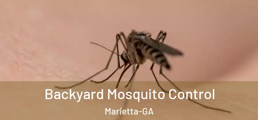  Backyard Mosquito Control Marietta-GA