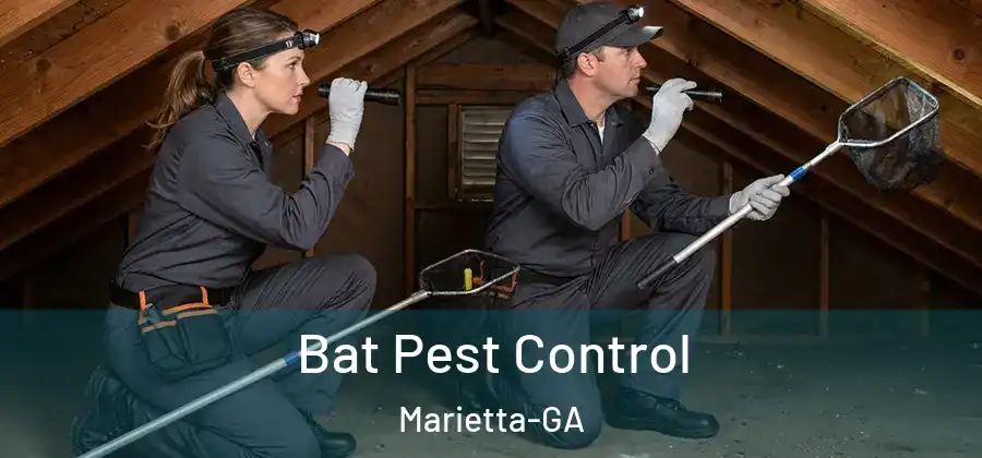 Bat Pest Control Marietta-GA