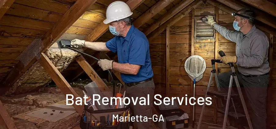  Bat Removal Services Marietta-GA