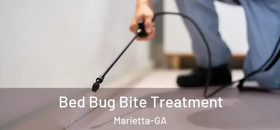 Bed Bug Bite Treatment Marietta-GA