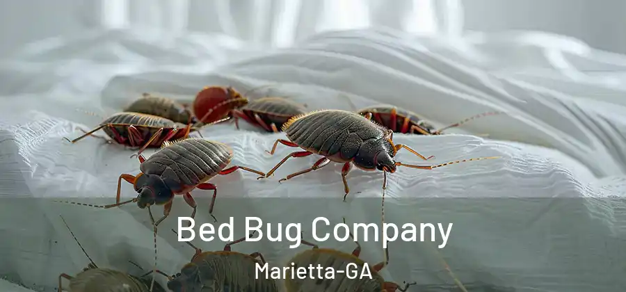 Bed Bug Company Marietta-GA