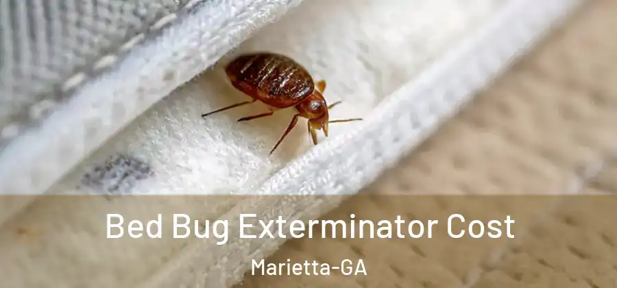 Bed Bug Exterminator Cost Marietta-GA