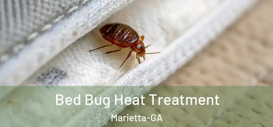  Bed Bug Heat Treatment Marietta-GA