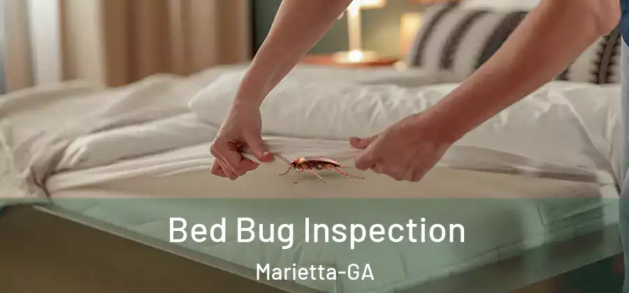  Bed Bug Inspection Marietta-GA