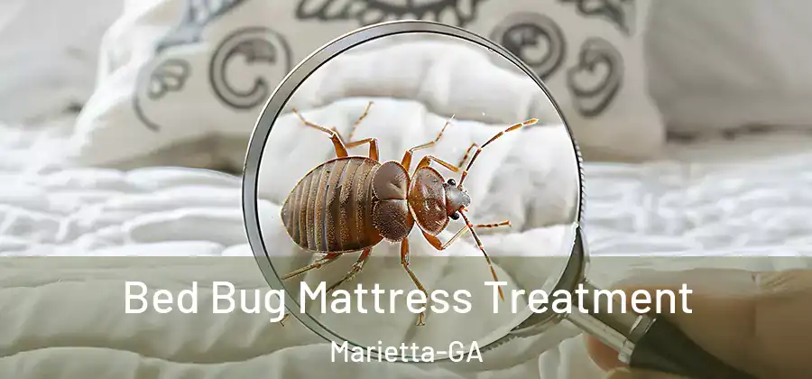 Bed Bug Mattress Treatment Marietta-GA