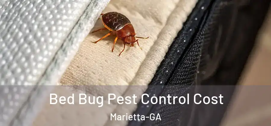  Bed Bug Pest Control Cost Marietta-GA