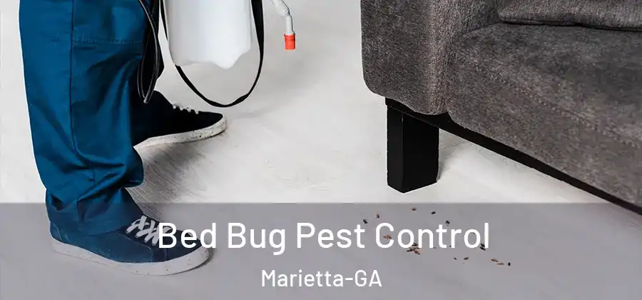  Bed Bug Pest Control Marietta-GA