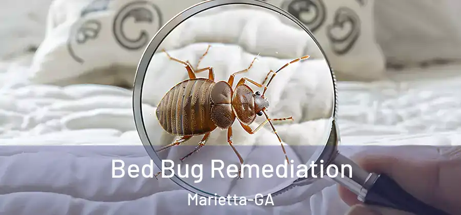  Bed Bug Remediation Marietta-GA