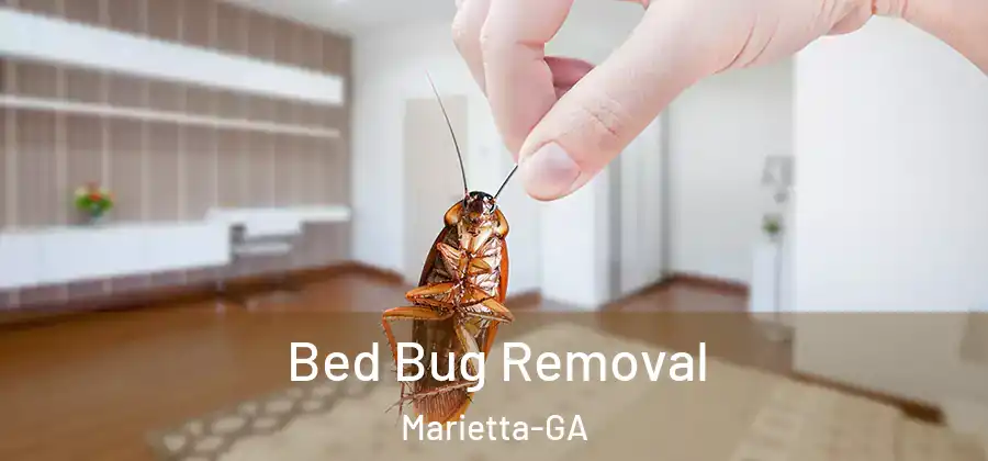 Bed Bug Removal Marietta-GA