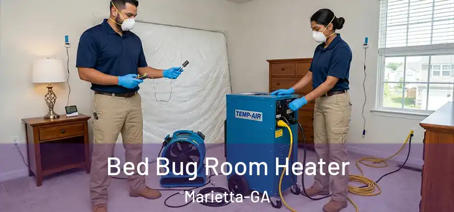 Bed Bug Room Heater Marietta-GA