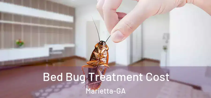  Bed Bug Treatment Cost Marietta-GA