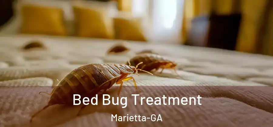  Bed Bug Treatment Marietta-GA