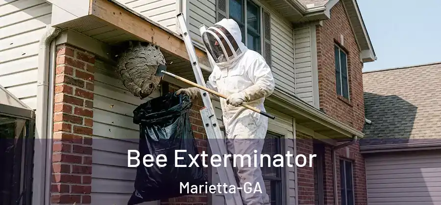 Bee Exterminator Marietta-GA