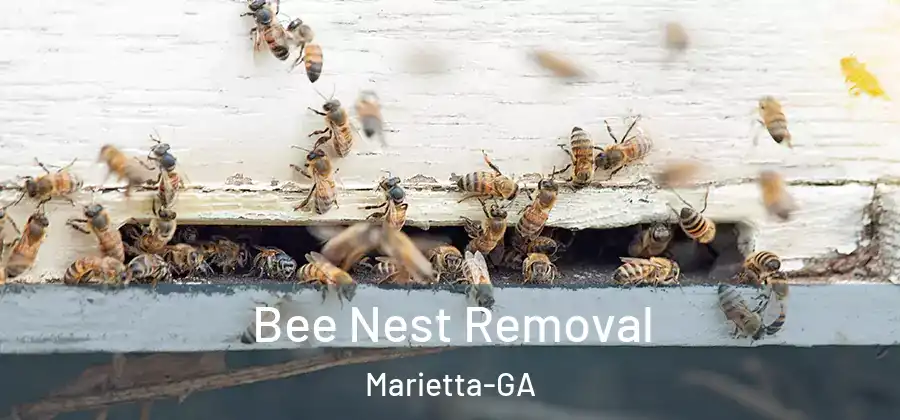  Bee Nest Removal Marietta-GA