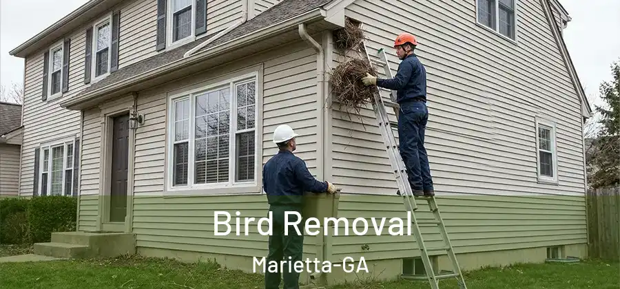  Bird Removal Marietta-GA
