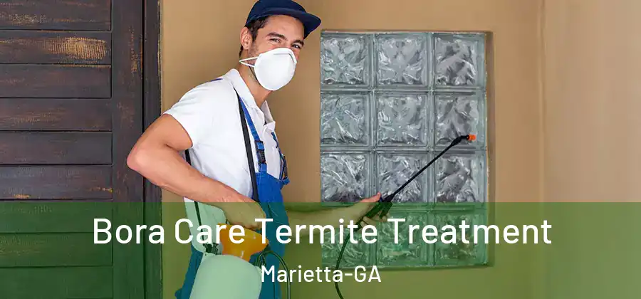 Bora Care Termite Treatment Marietta-GA