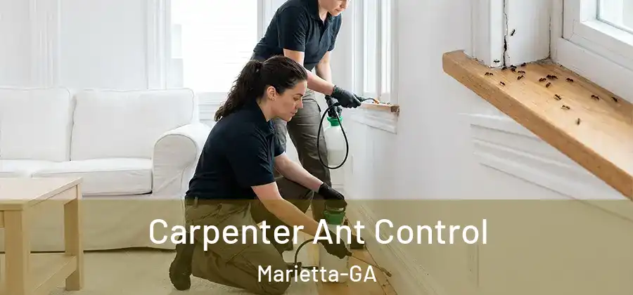 Carpenter Ant Control Marietta-GA