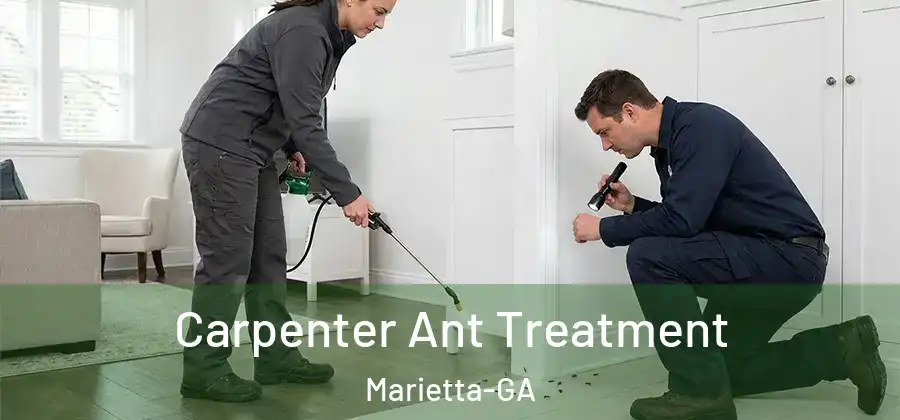  Carpenter Ant Treatment Marietta-GA