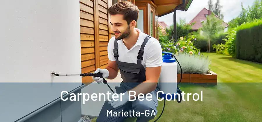  Carpenter Bee Control Marietta-GA