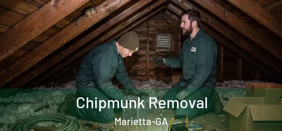  Chipmunk Removal Marietta-GA