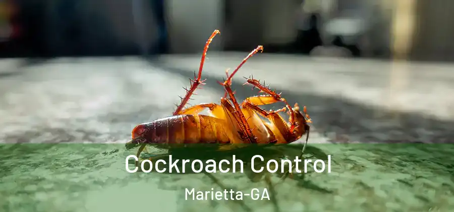  Cockroach Control Marietta-GA