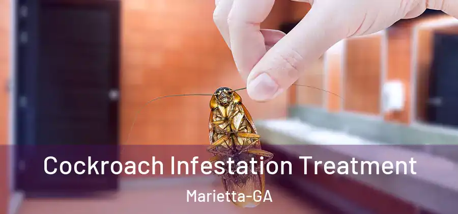  Cockroach Infestation Treatment Marietta-GA