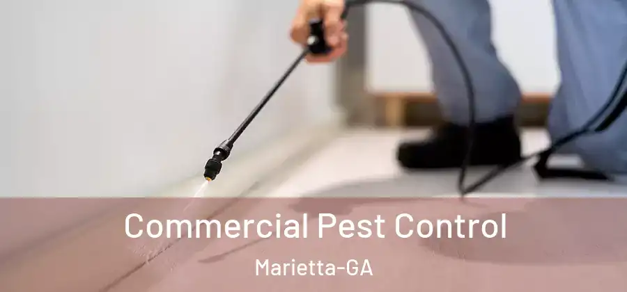 Commercial Pest Control Marietta-GA