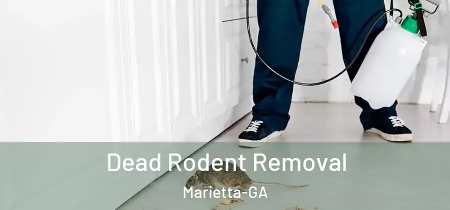  Dead Rodent Removal Marietta-GA