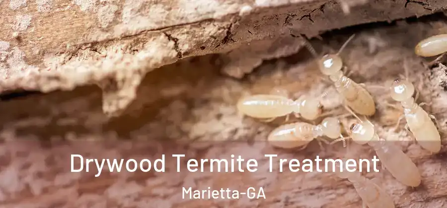  Drywood Termite Treatment Marietta-GA