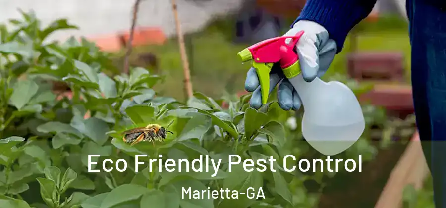  Eco Friendly Pest Control Marietta-GA