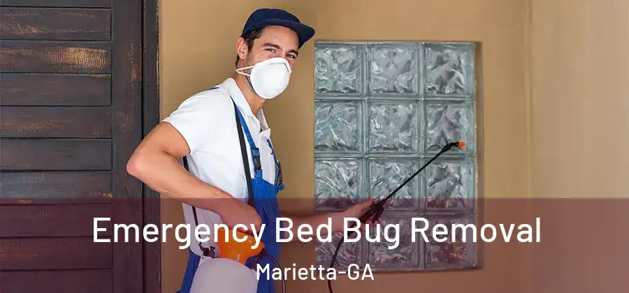  Emergency Bed Bug Removal Marietta-GA