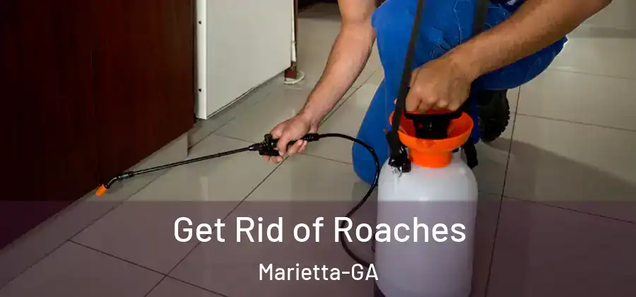 Get Rid of Roaches Marietta-GA