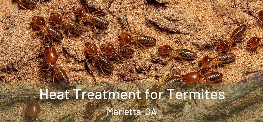  Heat Treatment for Termites Marietta-GA