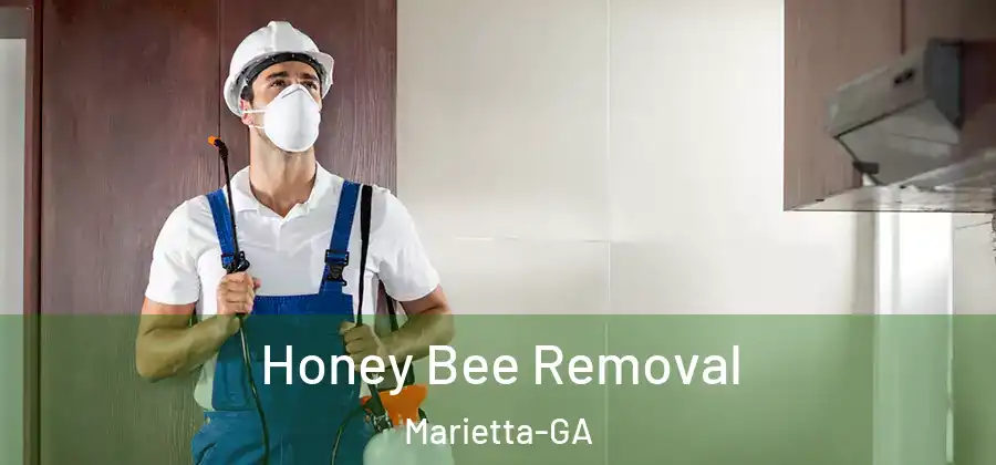 Honey Bee Removal Marietta-GA