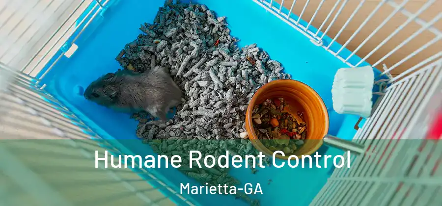  Humane Rodent Control Marietta-GA