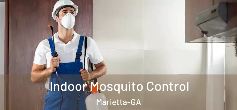  Indoor Mosquito Control Marietta-GA