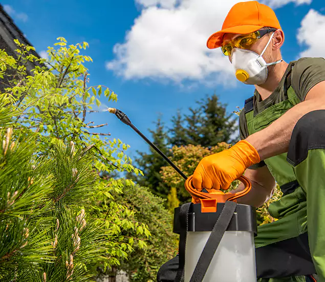 Your Best Bug Spray for Home Team in Marietta, GA