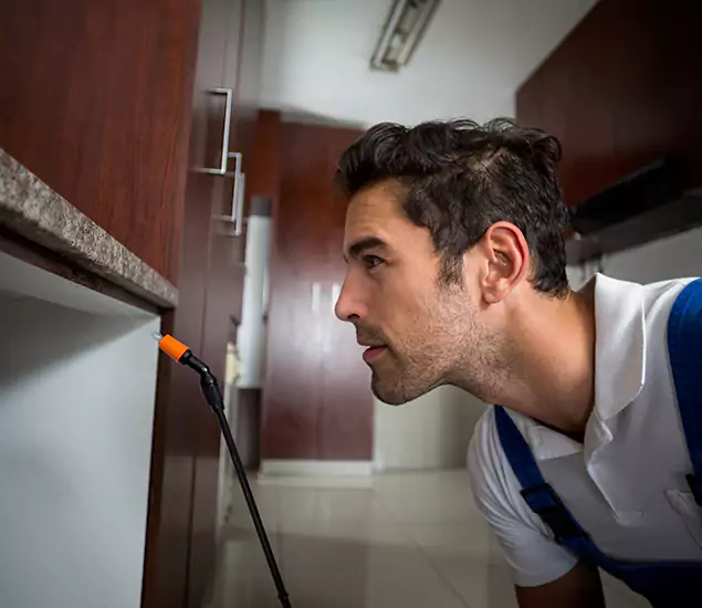 Termite Inspection Cost Experts You Can Trust in Marietta, GA