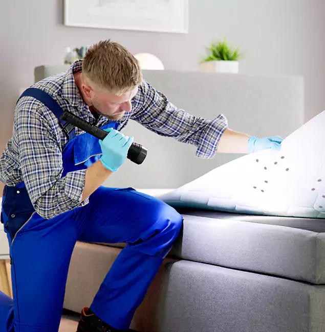 Why Choose Marietta Pest Control Inc for Bed Bug Exterminator Cost in Marietta, GA?