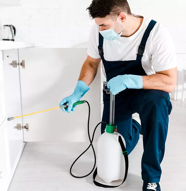 Why Choose Marietta Pest Control Inc for Termite Spot Treatment in Marietta, GA?