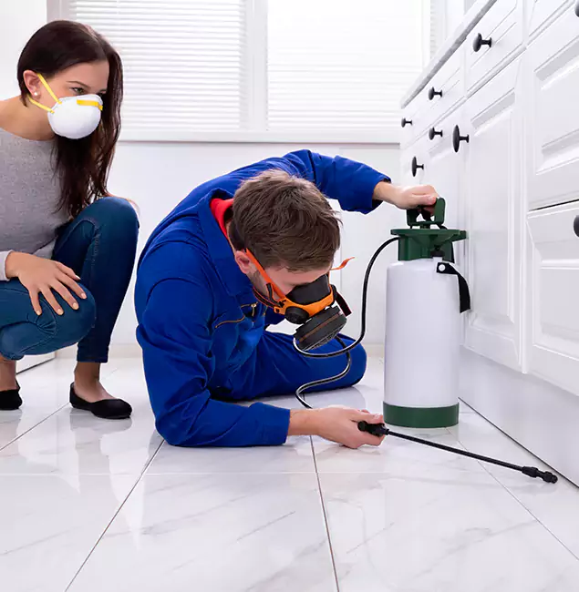 Why Choose Wood Termite Treatment by Marietta Pest Control Inc in Marietta, GA?