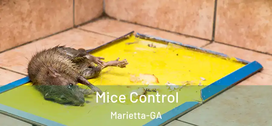 Mice Control Marietta-GA