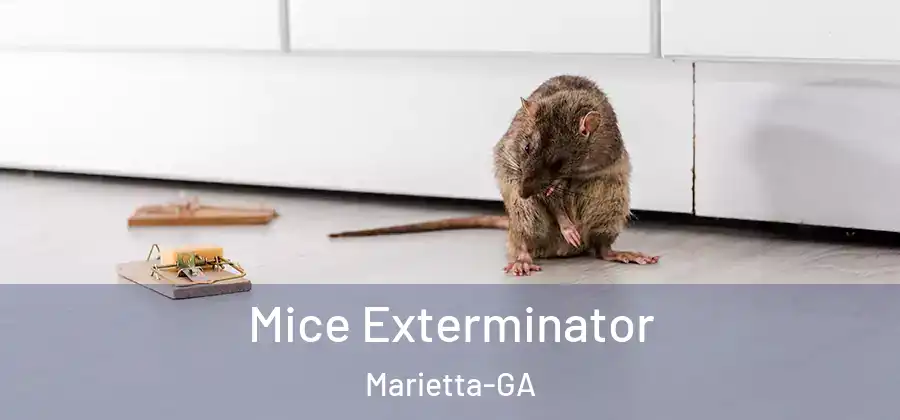  Mice Exterminator Marietta-GA