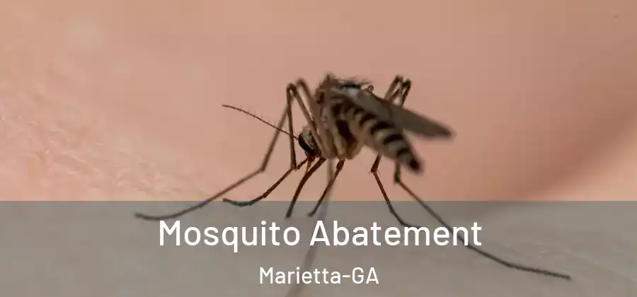  Mosquito Abatement Marietta-GA